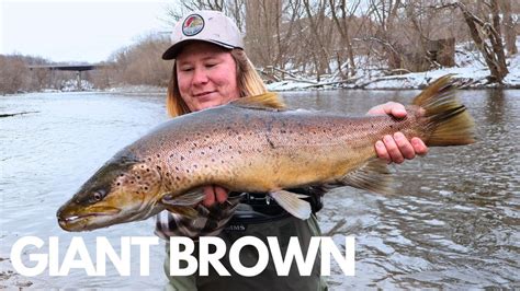 Fishing For MONSTER BROWN TROUT YouTube