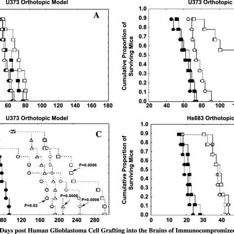 PDF Combining Bevacizumab With Temozolomide Increases The Antitumor