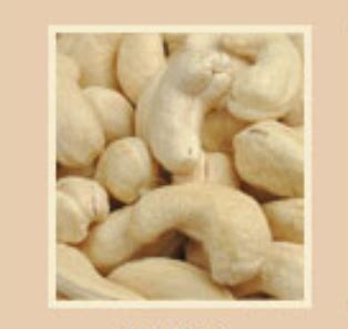 Cashew Kernels White Wholes W At Best Price In Kollam By Kerala