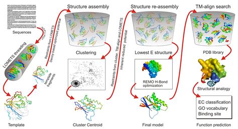 I Tasser Server For Protein Structure And Function Prediction