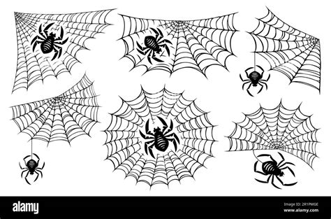 Spider and web set. Concept Halloween decoration design. Collection ...