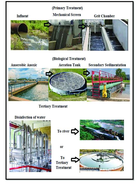 The Biological Wastewater Treatment Processes Download Scientific