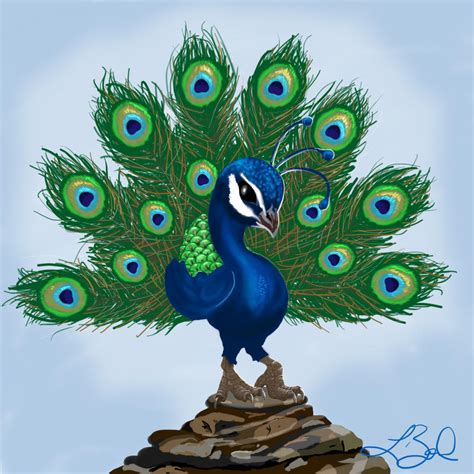 Peacock By Leelab On Deviantart