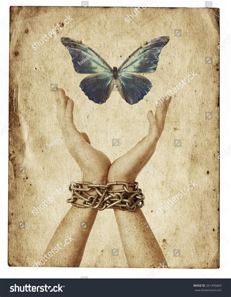 Butterfly Freedom Slavery Stock Photo 261495665 Shutterstock