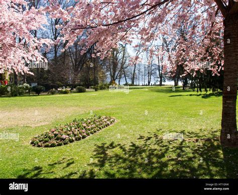 Lugano Switzerland Panoramic View Of Ciani Park Located Near The Lake