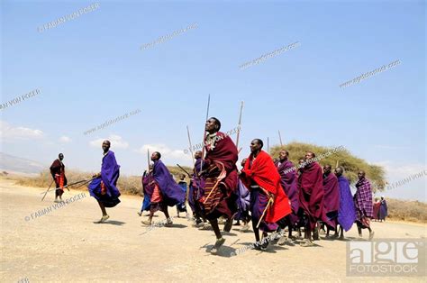 Massai Doing A Traditional Dance In The Village Of Kiloki Serengeti