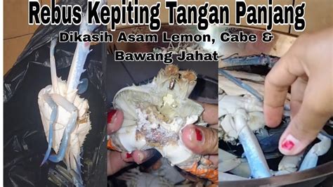 Rebus Kepiting Tangan Panjang Di Kasih Asam Lemon Cabe Bawang Jahat