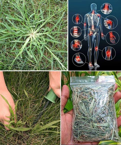 can crab hiding safely 4