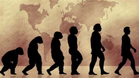 Las Teorías Sobre El Origen Del Hombre Más Aceptadas