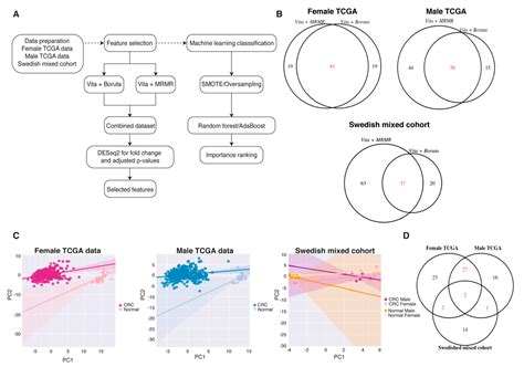 Ijms Free Full Text The Importance Of Sex In The Discovery Of