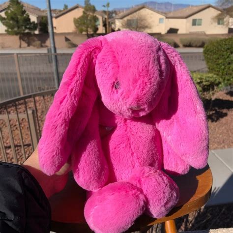 Jellycat Toys Jellycat Bashful Hot Pink Bunny Poshmark