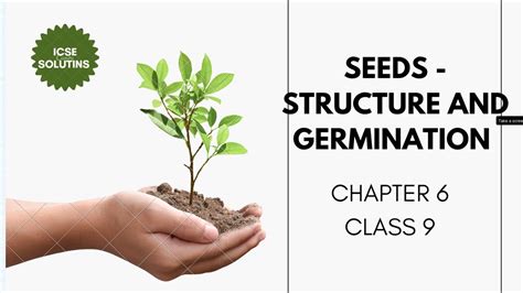 Seeds Structure And Germination Chapter 6 Class 9 Icse Youtube