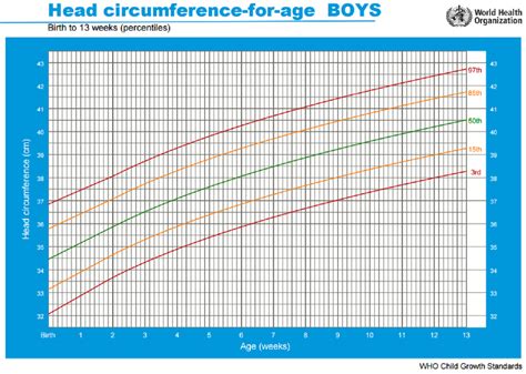 Circunferência da cabeça por idade Meninos