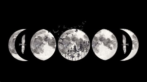 [100+] Moon Phase Wallpapers | Wallpapers.com