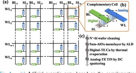 Figure From Complementary Digital And Analog Resistive Switching