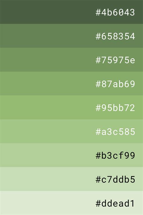 Green Color Palette Hex Color Palette Green Colour Palette Green