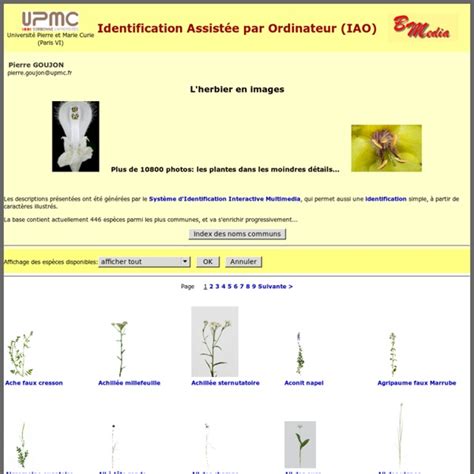 Identification Assist E Par Ordinateur Iao Pearltrees