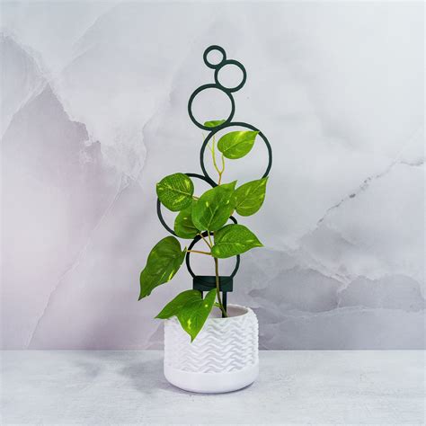 Trellis Spike Circles | FOREST GREEN – Botanical Interior Design Ltd