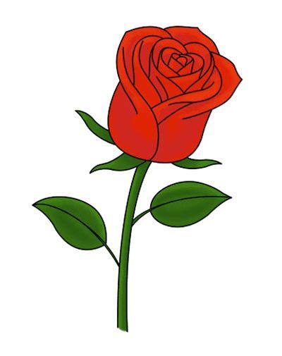 C Mo Dibujar Una Rosa Rosas Para Dibujar A L Piz Dibujos De Rosas