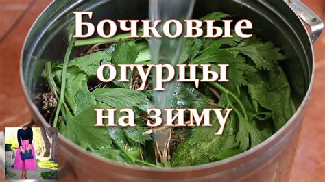 Все солят огурцы по-своему, а я только так! Бочковые соленые огурцы на ...