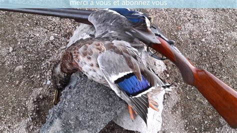 Ouverture De La Chasse Aux Canards Youtube