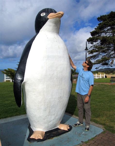 Did penguins used to be 6 feet tall? - Quora