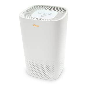 Honeywell HEPA Clean Tower Air Purifier HHT290WHD The Home Depot