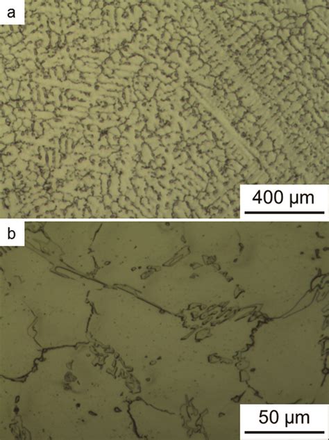 Light Optical Micrographs Of The As Cast Alloy At Two Magnifications