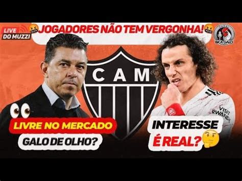 REI DO CHAT GALLARDO NA MIRA DO GALO DAVID LUIZ INTERESSE É REAL