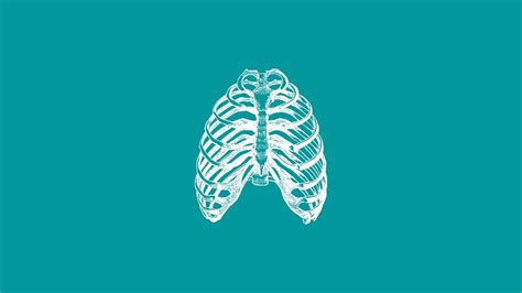 Principles of Chest Wall Reconstruction