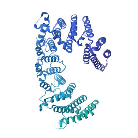 Rcsb Pdb Edn Cryo Em Structure Of The Full Length Human Nf Dimer