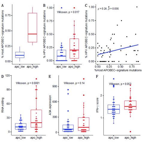 Apobec Is The Dominant Mutational Signature In Hpv Opscc A Somatic