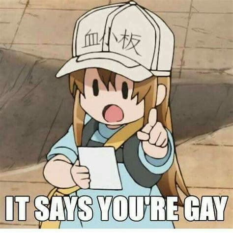 Pete Is Gay R WholeWheatPete