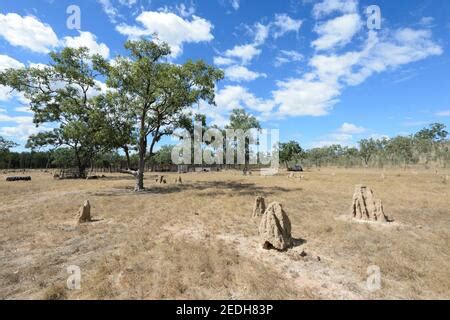 Cattle Station Northern Territory Australia Stock Photo Alamy