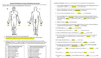 Human Anatomy: Anatomical Directions Practice Worksheet | TPT