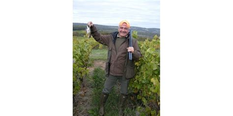 Tradition A La Chasse Aux Grive Dans Les Vignes Cruzille