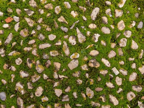 Stones With Green Moss Background Stock Image Image Of Mossy Nature