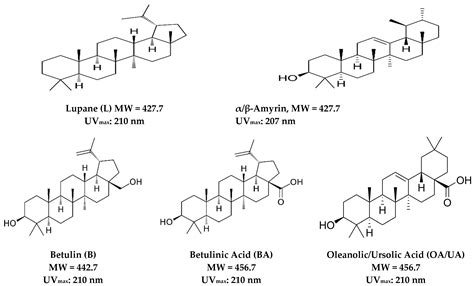 IJMS Free Full Text Pentacyclic Triterpenoid Phytochemicals With