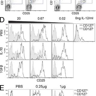 Cd Nk Cells Preferentially Induce Cd Expres Sion In Response To