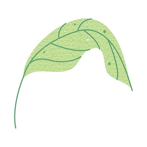 texture leaf isolated icon 10793227 Vector Art at Vecteezy