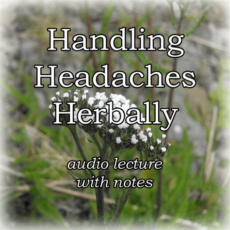 Handling Headaches Herbally CommonWealth Holistic Herbalism