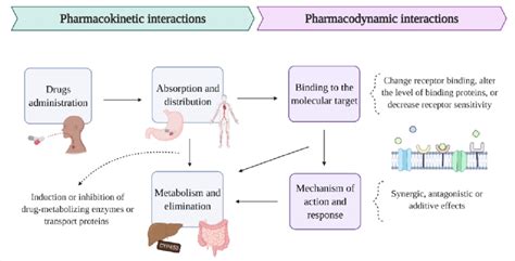 Pharmacokinetic And Pharmacodynamic Drug Interactions In Download Scientific Diagram