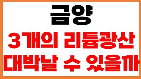 금양 주가전망 긴급속보 대박날 수 있을까 콩고 다음 몽골 이제 나미비아 협력 리튬 광산 프로젝트 인수 6월 10일 29일