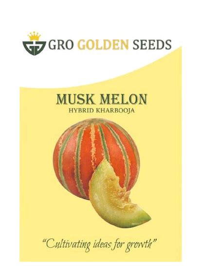 Gro Golden Muskmelon Hybrid Kharbooja Seeds