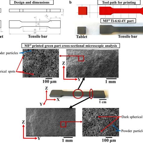 X Ray Diffraction Pattern For Ti Al V Powder Shows A Major Phase As