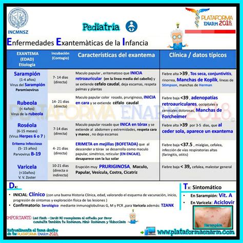 Enfermedades Exantematicas En Pediatria