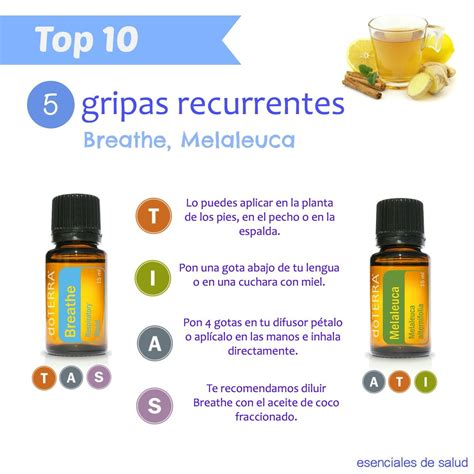 5 10 Top 10 Aceites Esenciales Doterra Mezclas De Aceites Esenciales