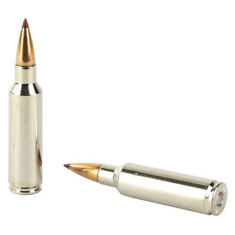 Hornady Outfitter 300 Wsm 180gr Cx Copper Alloy Expanding 300