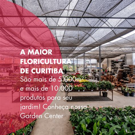 Floricultura Cissa - Flor da Suissa – Floricultura e Garden Center – Curitiba