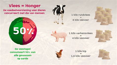 Infographics Vleesverlangen Marieke Hollander